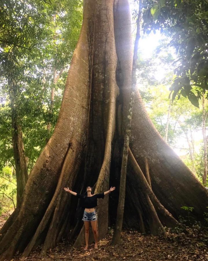 Hotel Amazônia Exxperience *