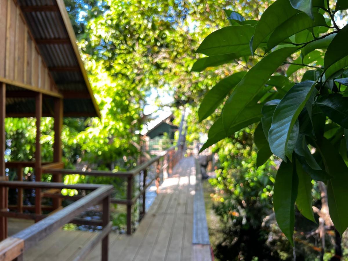 Amazônia Exxperience *