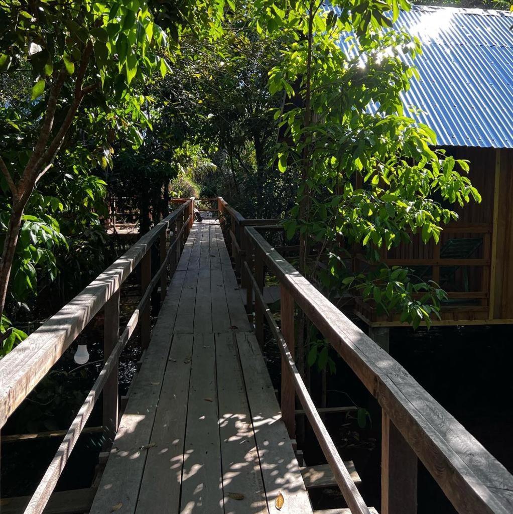 Amazônia Exxperience Paricatuba