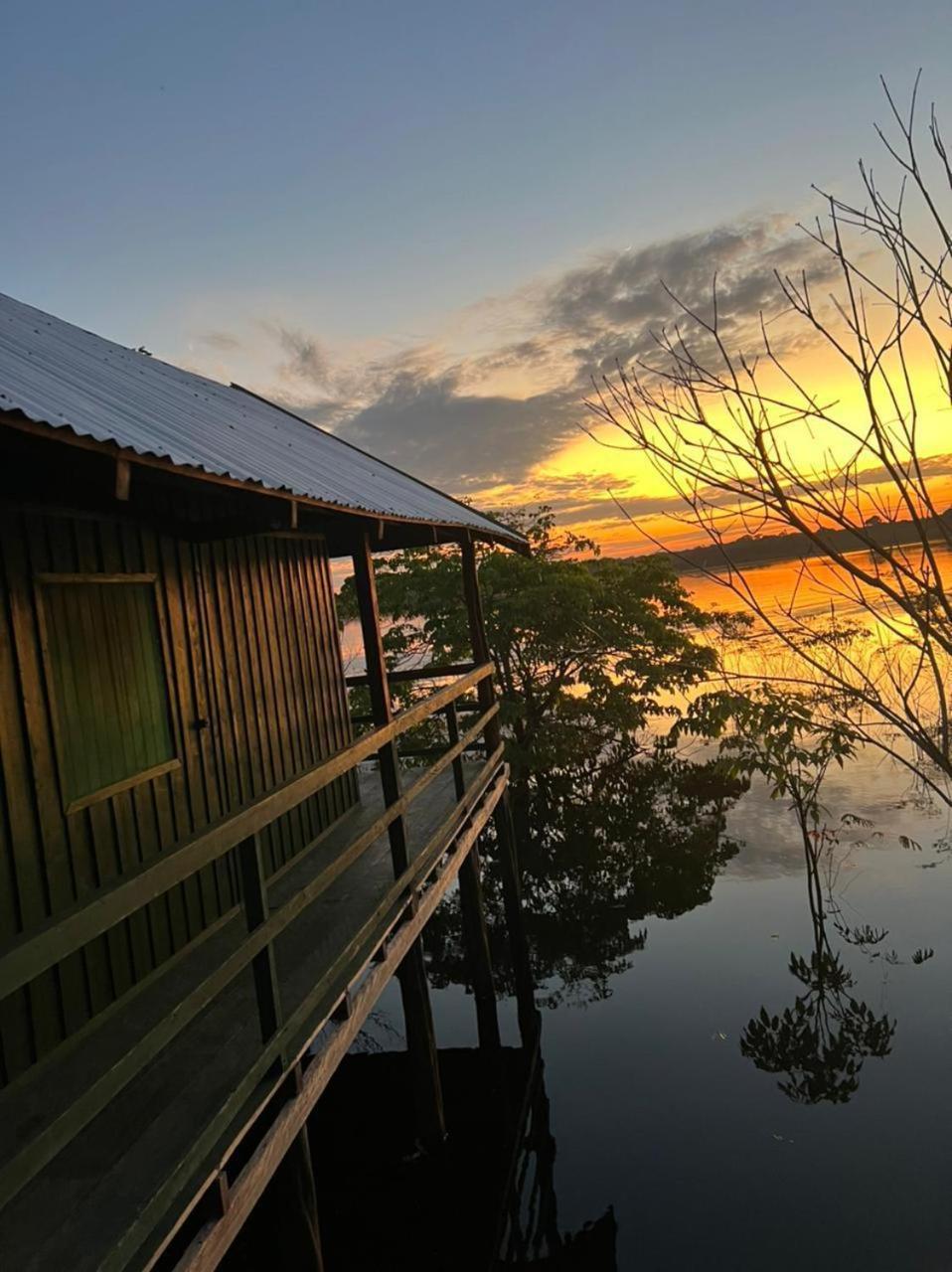 Amazônia Exxperience
