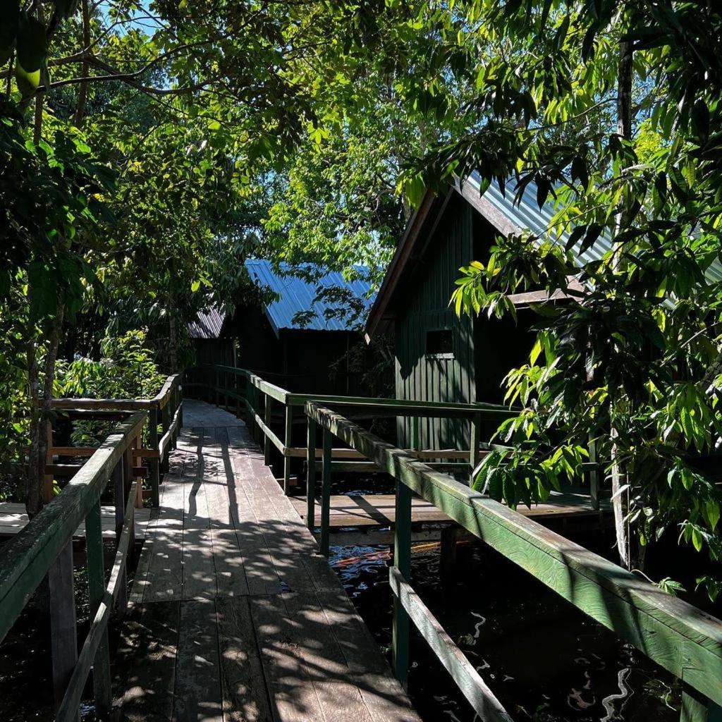 Tucan Amazon - Amazônia Exxperience